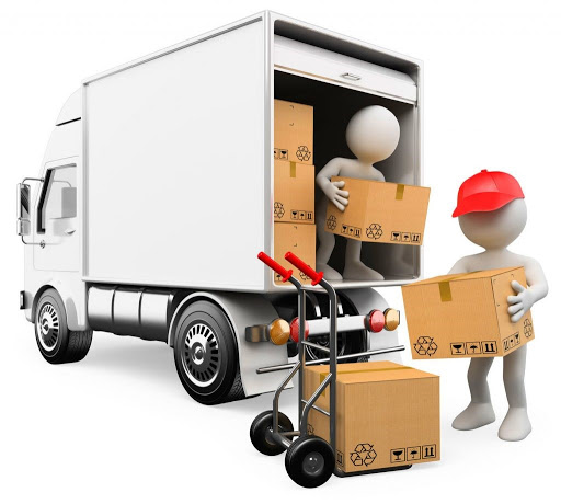 باربری مینای جنوبی